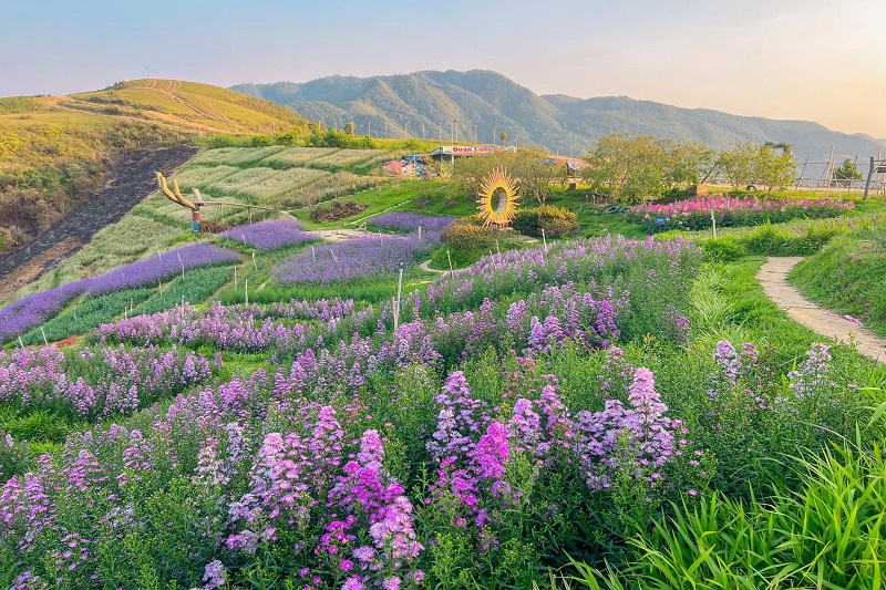 [3N2Đ] HÀ NỘI - MỘC CHÂU - SƠN LA - ĐIỆN BIÊN